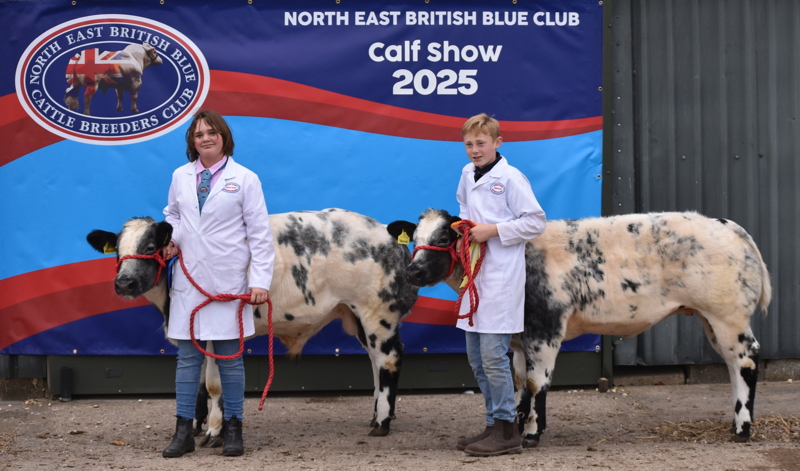 Calf Show 2025