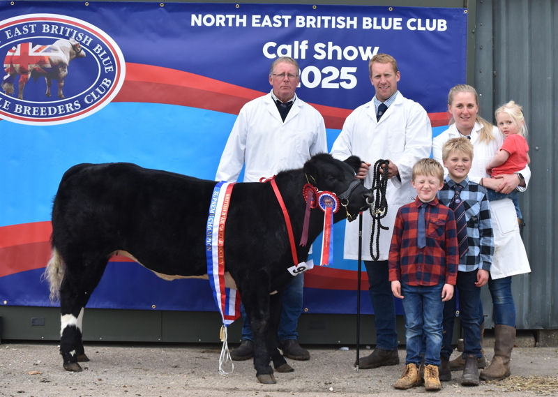 CHAMPION - S&A MILLS REDMIRES VELVET