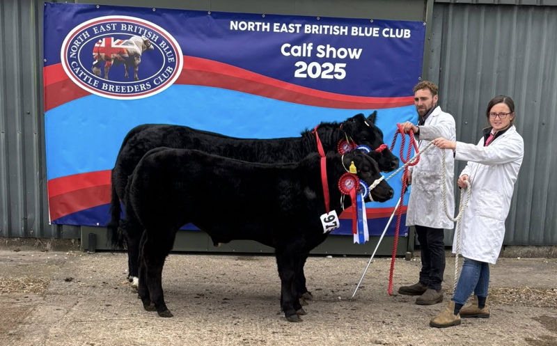 Calf Show 2025