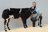 Ridge Dean Brandy - 7500gns