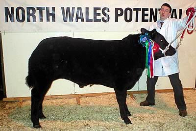 NWP Reserve CHampion