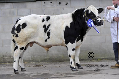     Ridge Dean Cherokee sold for 7000gns