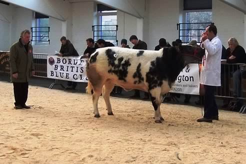 Richard Carter Judging 