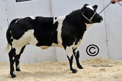 Astbury Emerald - 4500gns 