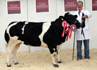 Female Champion was Snowy Ridge Duchess which sold for 3600gns