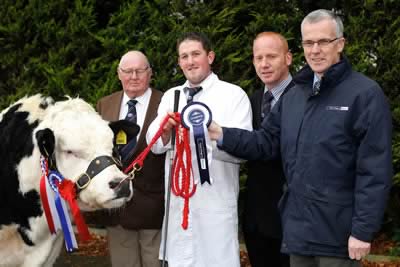 Handler, Stephen O'Kane is pictured along with  Ted Haste, President, British Blue Cattle Society;  Kevin Watret, Dumfriesshire, Judge and John Henning, Head of Agri-Business, Northern Bank, Sponsors.