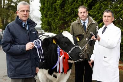 Blackford Eminence owned by Harold McKee, Kilkeel was the Reserve Supreme Champion and Female Champion John Henning, Head of Agri-Business, Northern Bank is pictured making a presentation while Michael Taffe, who kindly took the rostrum following the sad passing of his good friend Willie Wilson looks on