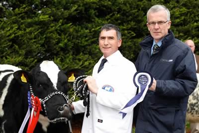 Blackford Eminence owned by Harold McKee, Kilkeel was the Reserve Supreme Champion and Female Champion. John Henning, Head of Agri-Business, Northern Bank is pictured making a presentation to Harold