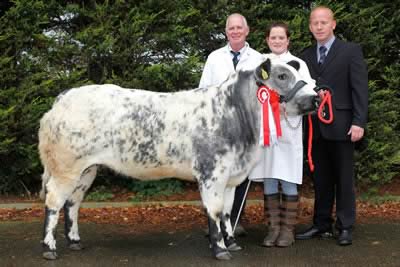 Knockagh Emily owned by Jim Ervine, Newtownabbey was the Reserve Female Champion. Jim and daughter Laura are pictured along with the Judge of the event, Kevin Watret, Dumfriesshire.