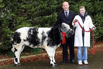 Ballybollen Flo out of Woodview Uno was the First Prizewinner in the Baby Heifer class. The prizewinner was owned by J.E and N Gregg, Ahoghill and exhibited here by Naoimi Gregg. Looking on is Kevin Watret, Dumfriesshire, Judge of the event.