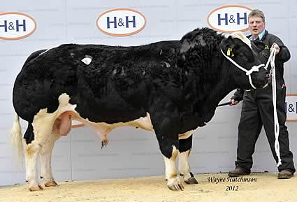 Rathlyon Dave - 6800gns