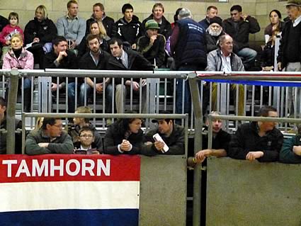 Tamhorn Herd Sale