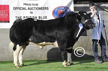 Drift Graham - 6600gns