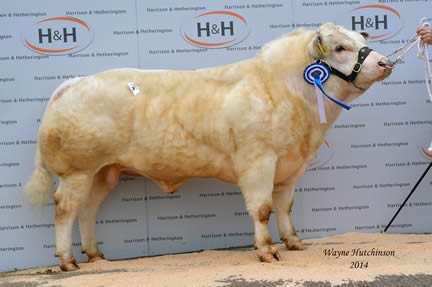 Stonebyres Harrison – Lot 9 - 6200gns