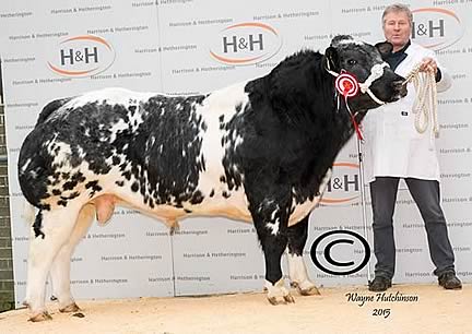 Littlederry Ivor - 10,500gns