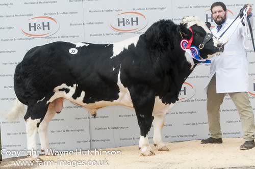 Brownridge Blues Jackpot - Res Champion - 7000gns