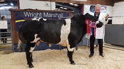 Almeley Mahela - Supreme Champion and top price at 4,000gns