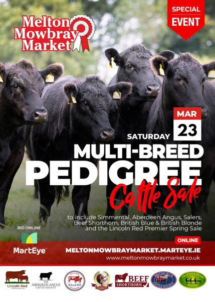 Melton Mowbray Multi-Breed Cattle Sale