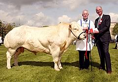 Balmoral Show