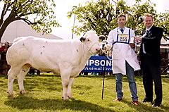 Balmoral Show