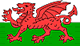 Welsh Flag