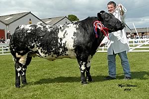 Yorkshire Show