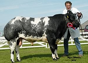 Yorkshire Show