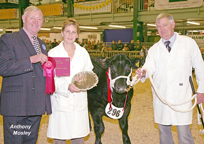 Presentation to Baby Beef Champion, Whiteley & Courts' steer "Freddie Mac" (no. 296). L to R: Ian Wildgoose (judge), Diane Whiteley and Jim Courts.