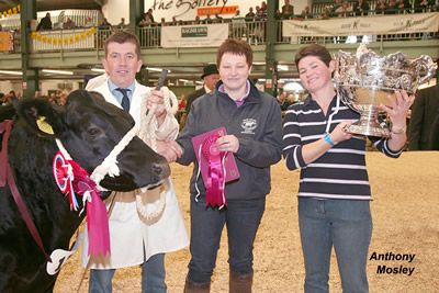 Presentation by Diane Hayton (centre) of British Blue Society's £1000 prize to the Supreme Champion, C & W Phillips' heifer "Charisma" (no. 174).  I TAKE IT that Mr Phillips is holding the animal and Mrs Phillips is holding the trophy.