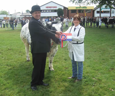 Sally Lloyd with the Best Junior Bull, Black 'n' Blue Diesel 