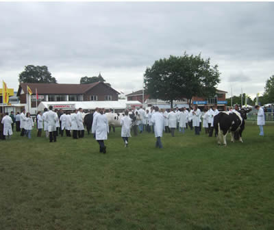 Great support for the Junior Stockjudging