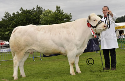 Caenog Branwen - Reserve Female