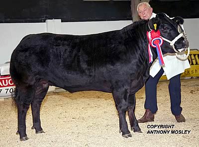 Phil Sellers with Supreme Champion 'Lady Big Bucks'