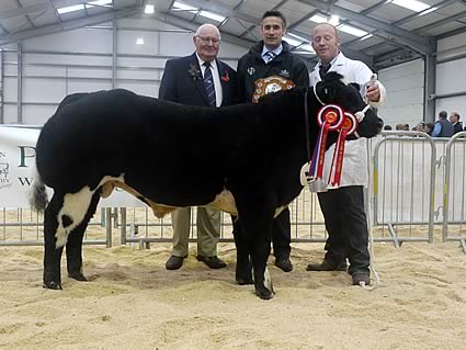 Ted Haste , Philip Halhead, Kevin Watret - owner Junior Male Champion : Solwayview Firecracker  (16/3/10) sire Gitan