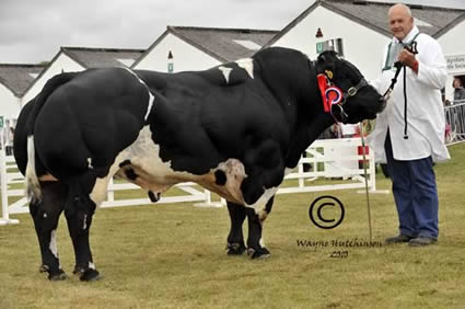 Edmonds Barney -  Male Champion