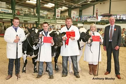 Interbreed Group of Three