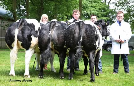 Interbreed Group of Three