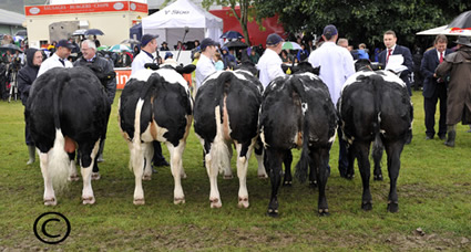 Team of Five champions from the British Blues