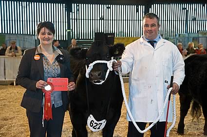 The reserve champion steer was also a British Blue cross, this time the 620kg Magic Man from Elfed Williams, Sennybridge, and shown by Neil Llloyd.