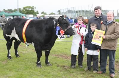 Zara Morrison Champion British Blue at Ballymena show with Sam McIntyre Judge Alan Clealand and Jason Edgar Vice chairman of the NI Club representing Norbrook sponsor