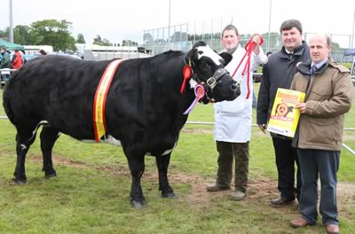 Stephen O Kane reserve Champion British Blue at Ballymena show with Judge Alan Cleland and Jason Edgar Vice chairman of the NI Club representing Norbrook sponsor