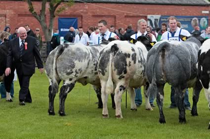 Judging at Balmoral 2011