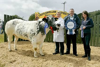 Snowy Ridge Emerald ET   Overall Reserve Champion