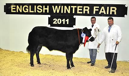 Andrew Bishop’s Overall Reserve Supreme Champion – Black Beauty