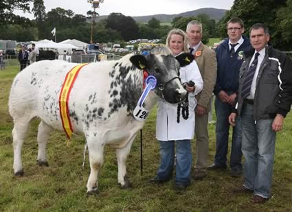 Overall Reserve Champion Snowy Ridge Emerald ET                       with Louise McCarthy (nee Annett) Judge Victor Chestnutt, Stephen Gordon Ring Stewart and Harold McKee Club Secretary