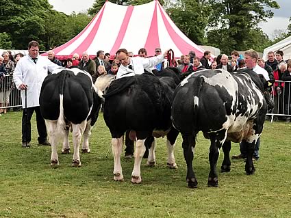 Northumberland County Show 2011