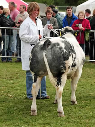 Northumberland County Show 2011