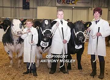 Group of 3 Pedigree British Blue Team entered for The Duke of Norfolk Cup, belonging to John & Wendy Laight, with handlers (right to left) Wendy Laight, Alex, Robbie Howe