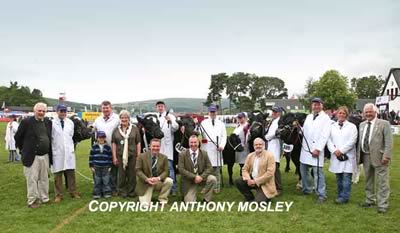 Winning Group of Five with John Fleming (L) and the Judge (R), Gill Evans, Andy Ryder (Society Chairman), Gwyn Williams (Society President) and Pierre Mallieu (Herd Book Blanc-bleu Belge)