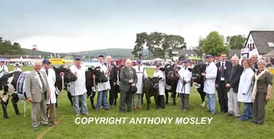 Team shot of winning Group of Five with John Fleming, the Judge, various VIPS, Royal Welsh Show Chairman